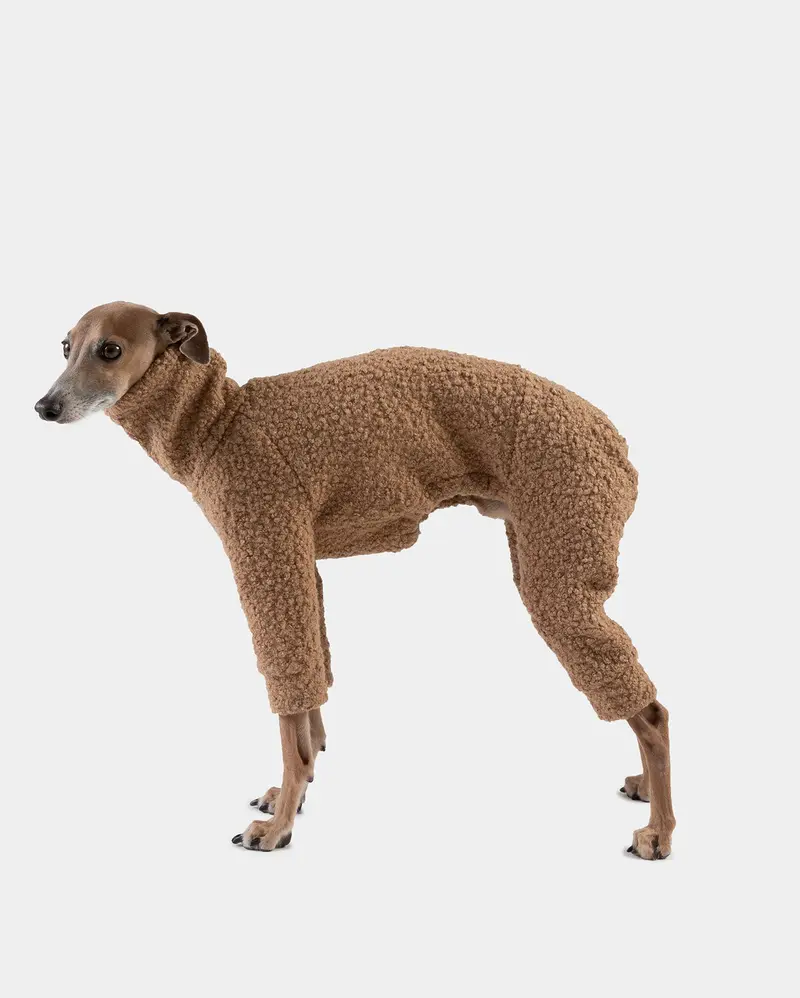 SUDADERA BOUCLE BEIGE 4 PATAS - WHIPPET