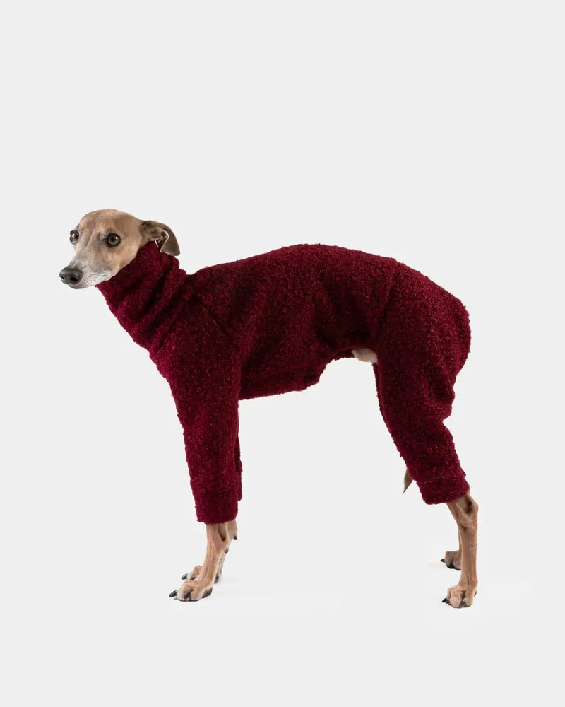 SUDADERA BOUCLE GRANATE 4 PATAS - WHIPPET