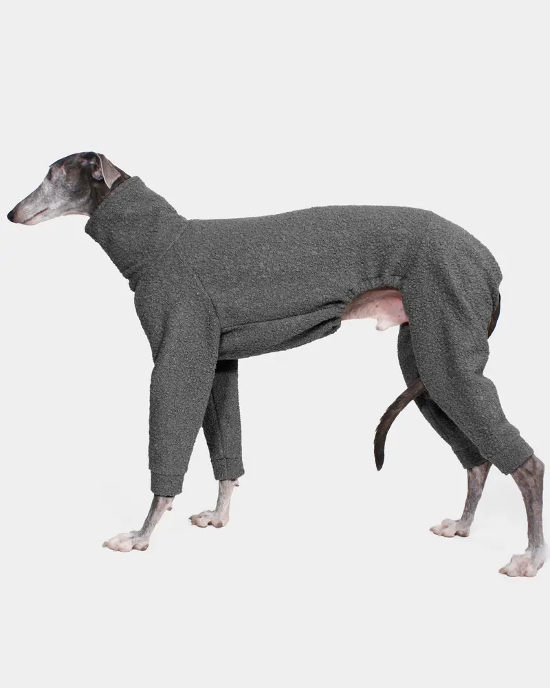 SUDADERA BOUCLE GRIS 4 PATAS - GALGO