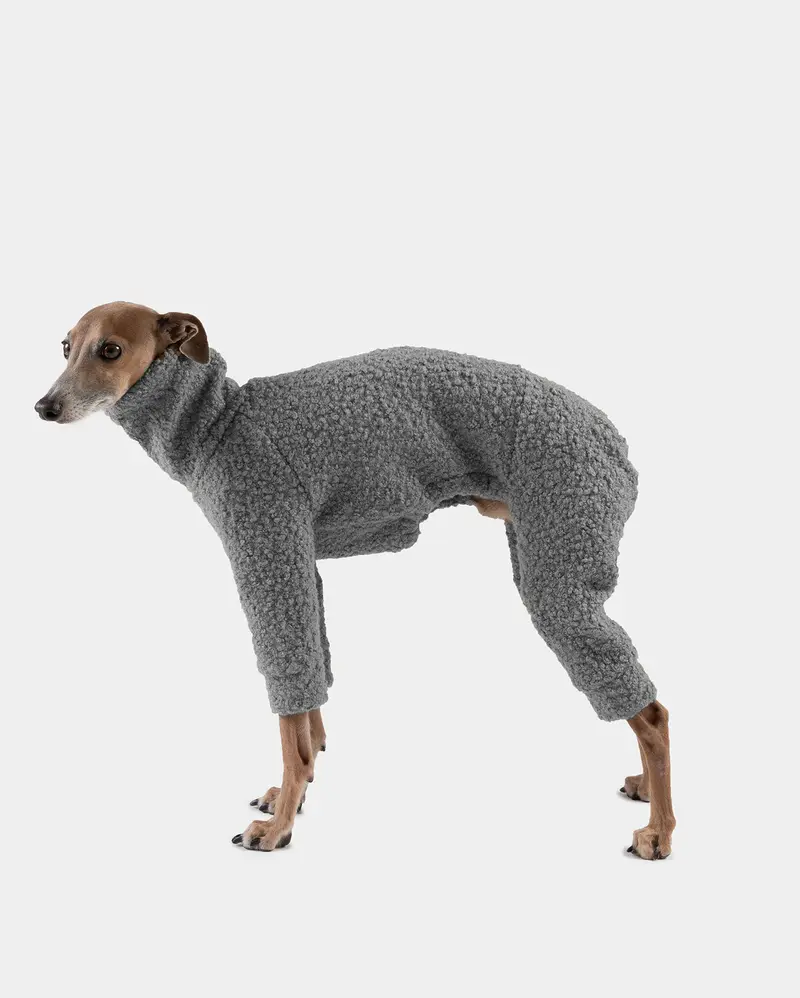 SUDADERA BOUCLE GRIS 4 PATAS - WHIPPET