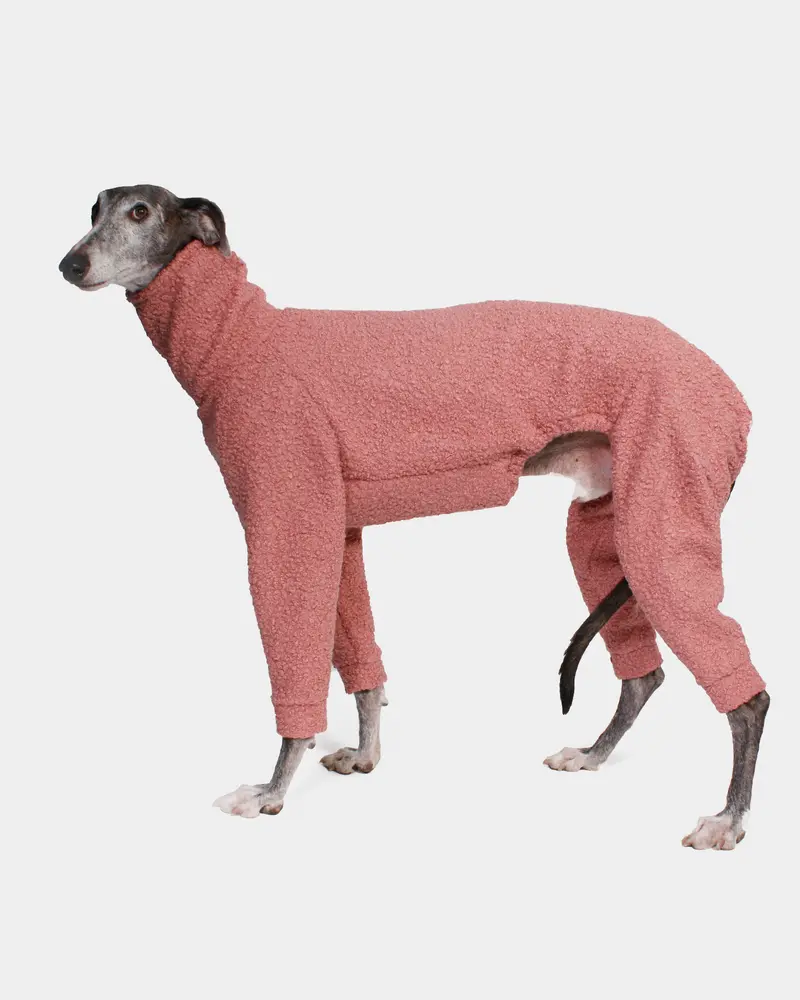 SUDADERA BOUCLE ROSA 4 PATAS - GALGO