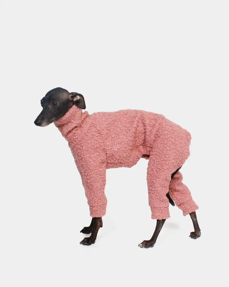 SUDADERA BOUCLE ROSA 4 PATAS - WHIPPET