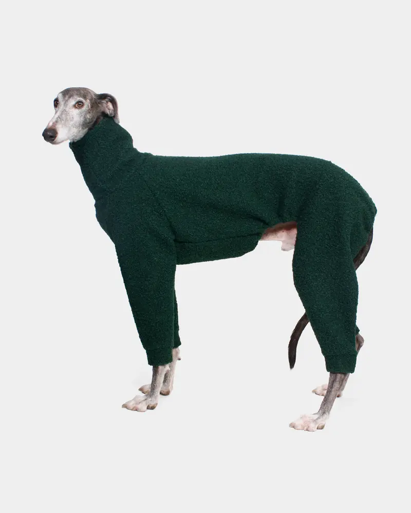 SUDADERA BOUCLE VERDE 4 PATAS - GALGO