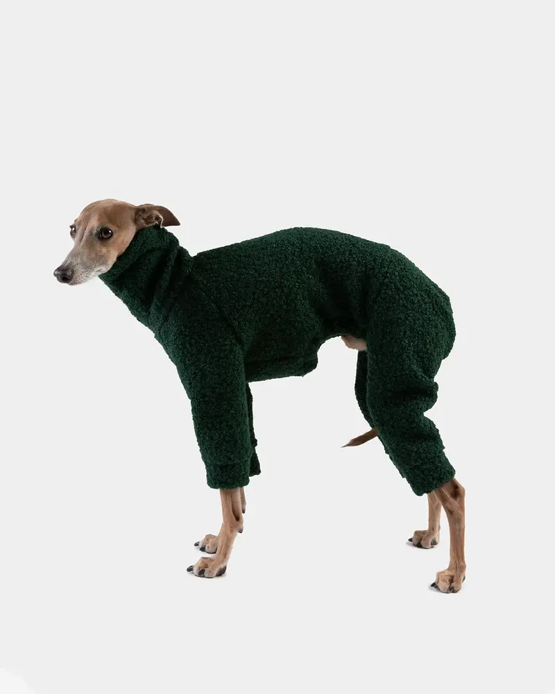 SUDADERA BOUCLE VERDE 4 PATAS - WHIPPET