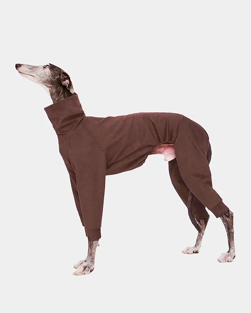 SUDADERA MARRON 4 PATAS - GALGO