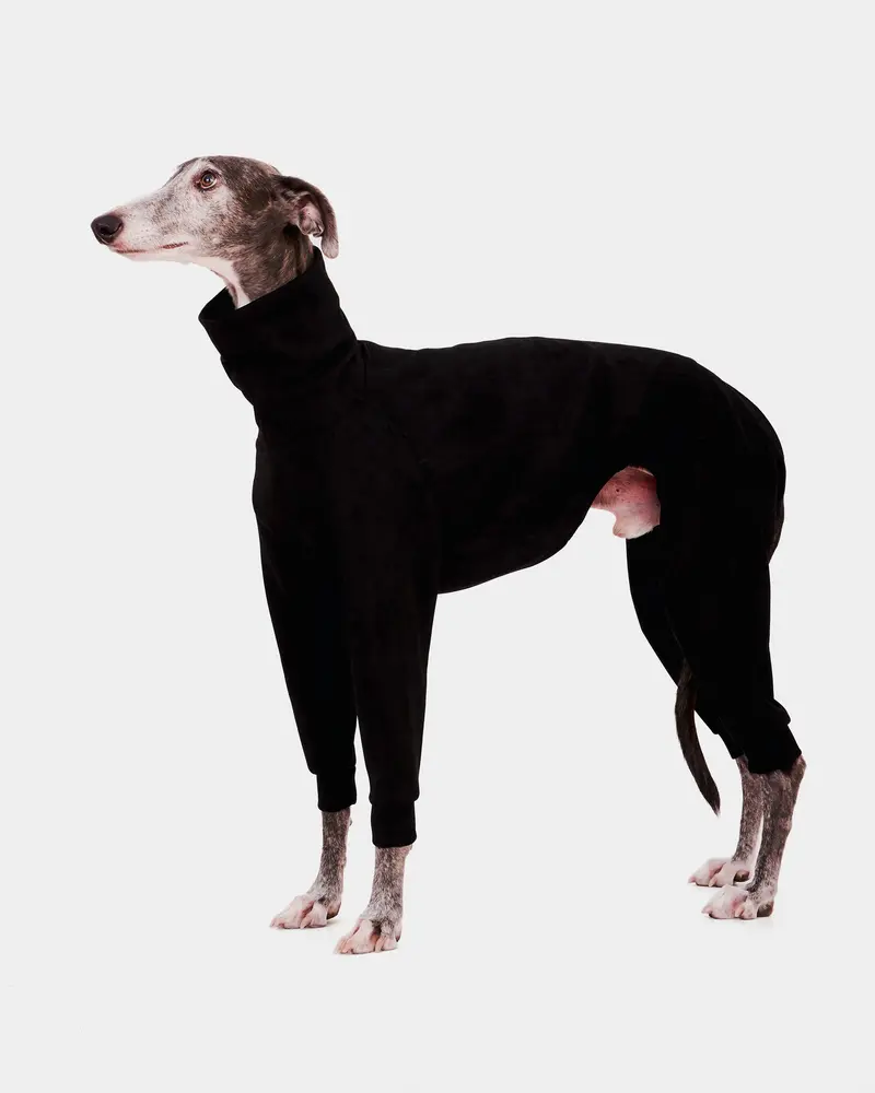 SUDADERA NEGRA 4 PATAS - GALGO