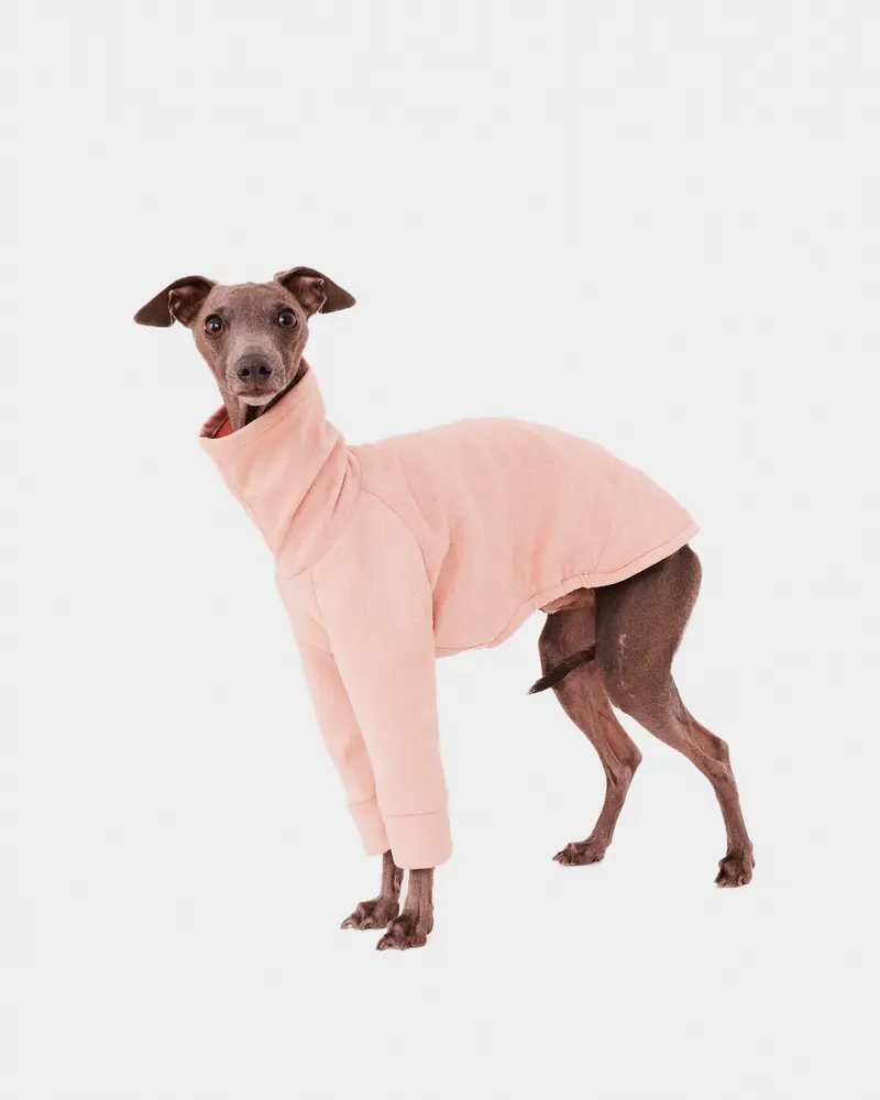 SUDADERA ROSA 2 PATAS - IGGY