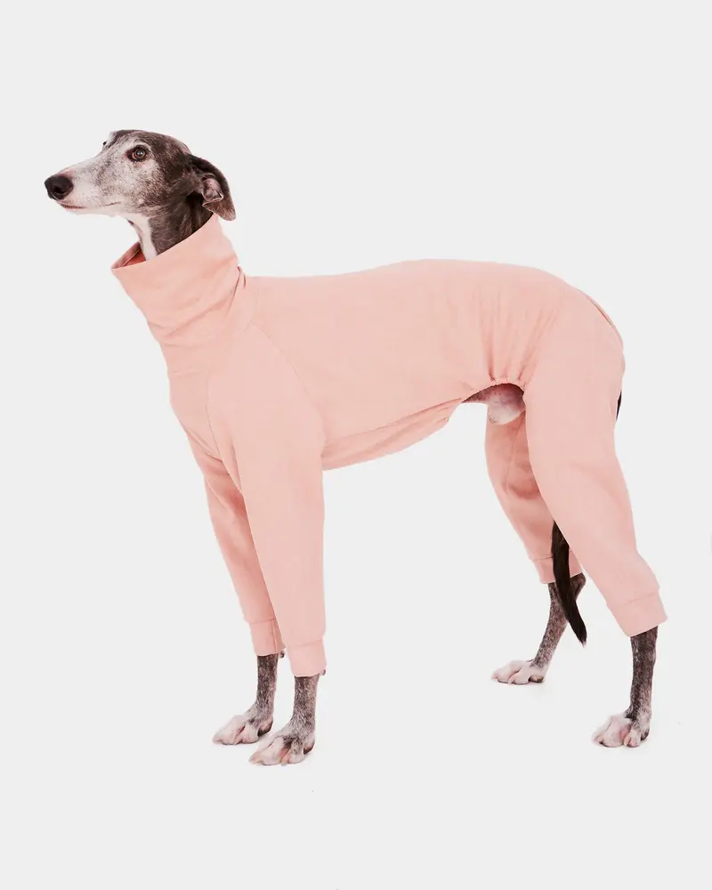 SUDADERA ROSA 4 PATAS - GALGO