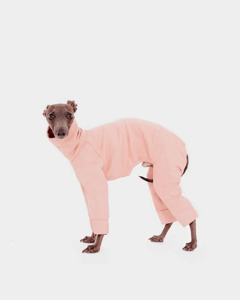 SUDADERA ROSA 4 PATAS - IGGY