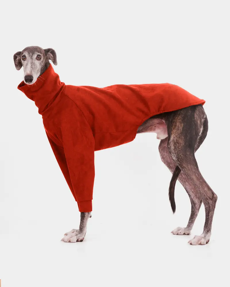 SUDADERA TEJA 2 PATAS - GALGO
