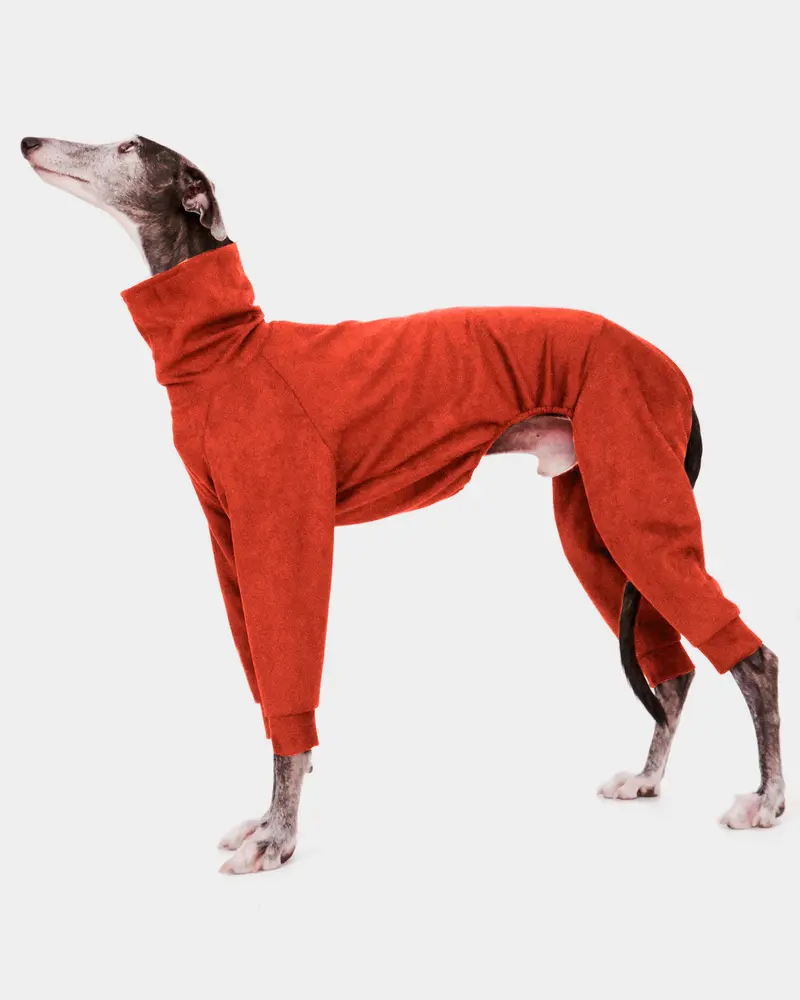 SUDADERA TEJA 4 PATAS - GALGO