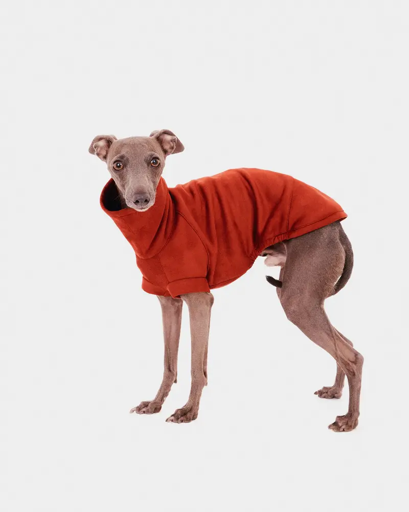 SUDADERA TEJA - WHIPPET