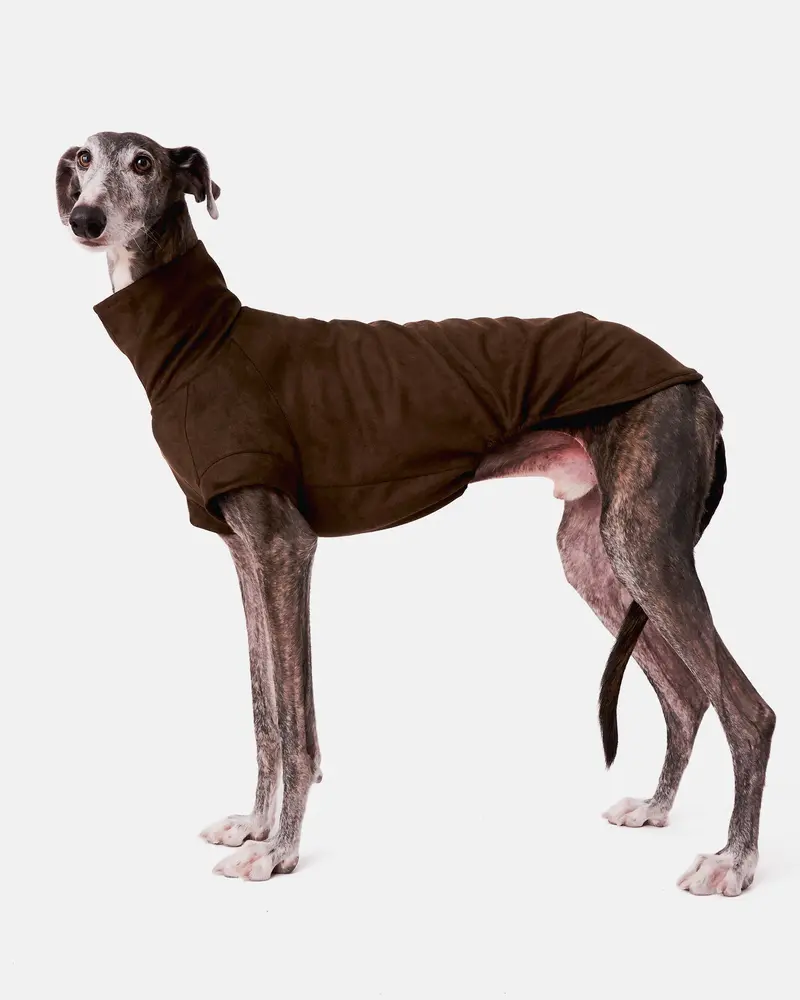 SUDADERA VERDE - GALGO