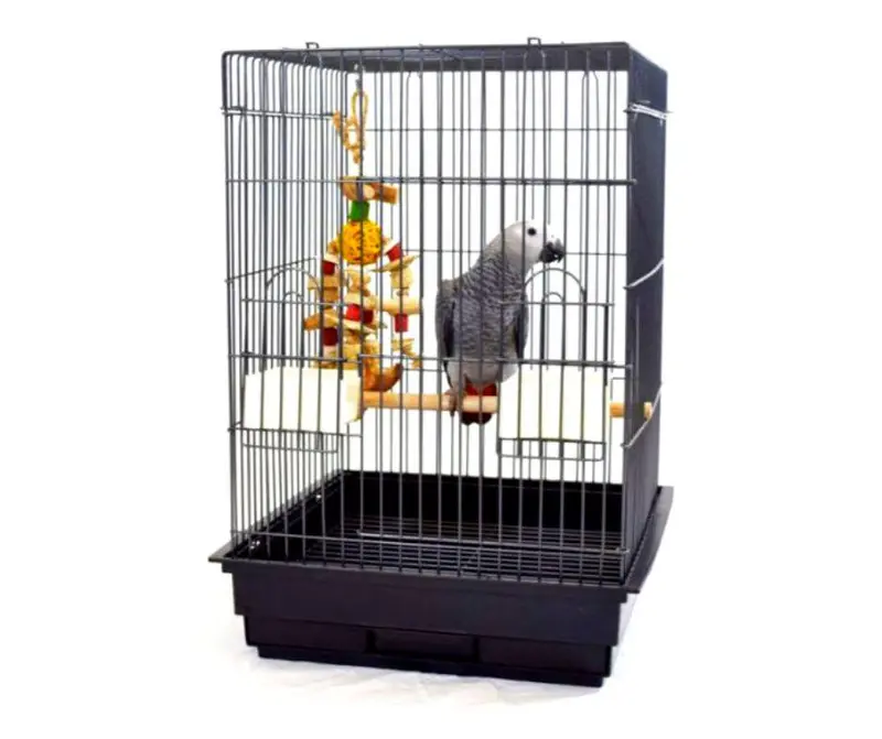 Sun Parrots Jaula para Loros pequeños Basic