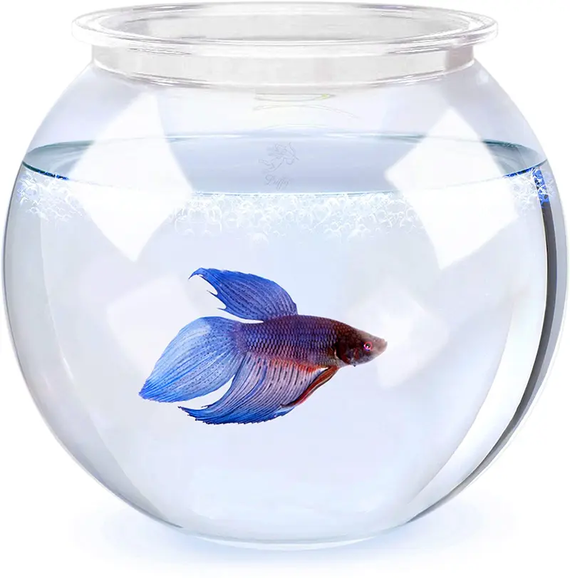 SunGrow Clear Bowl Aquarium, 1 Gallon, Classic Bowl for Bettas, Create Ideal Centerpieces for Weddings and Other Occasions, 360° View of Aquarium, Centerpiece, or Terrarium, Perfect for Office