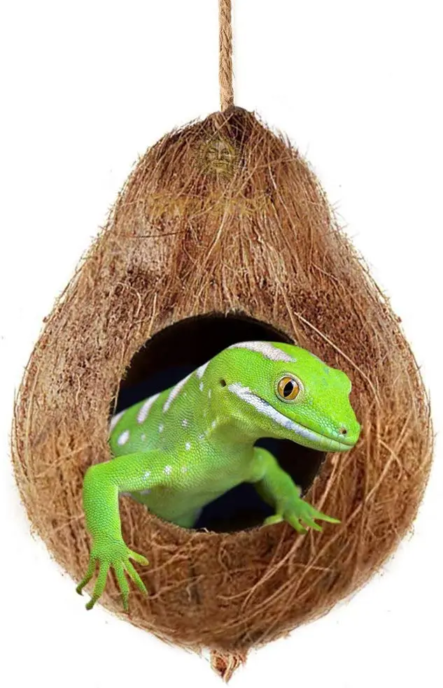 SunGrow Gecko Coco Hut, Raw Coconut Husk, Durable and Sturdy, Treat and Food Dispenser, Ideal for Reptiles and Amphibians, Nesting Home Hide, Rough Texture Encourages Foot and Beak Exercise