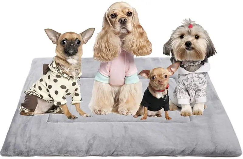 Sunny - Colchón antideslizante para cama de perro, almohadilla suave lavable