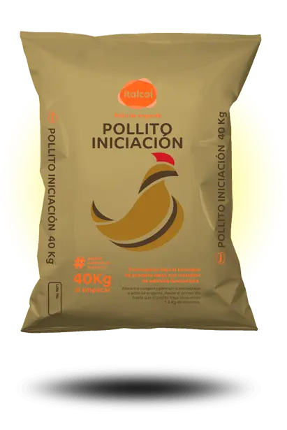 SUPER POLLO INICIO DORADO ITALCOL