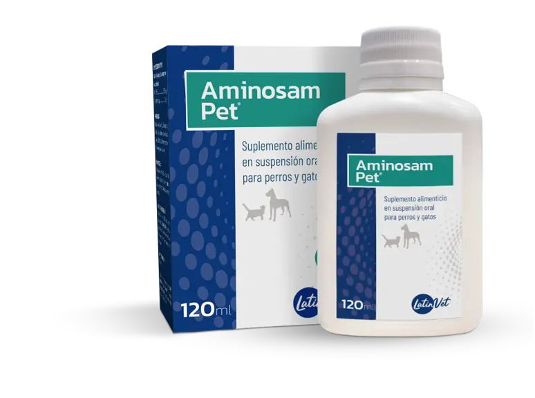 Suplemento para Mascota Aminosam Pet Oral