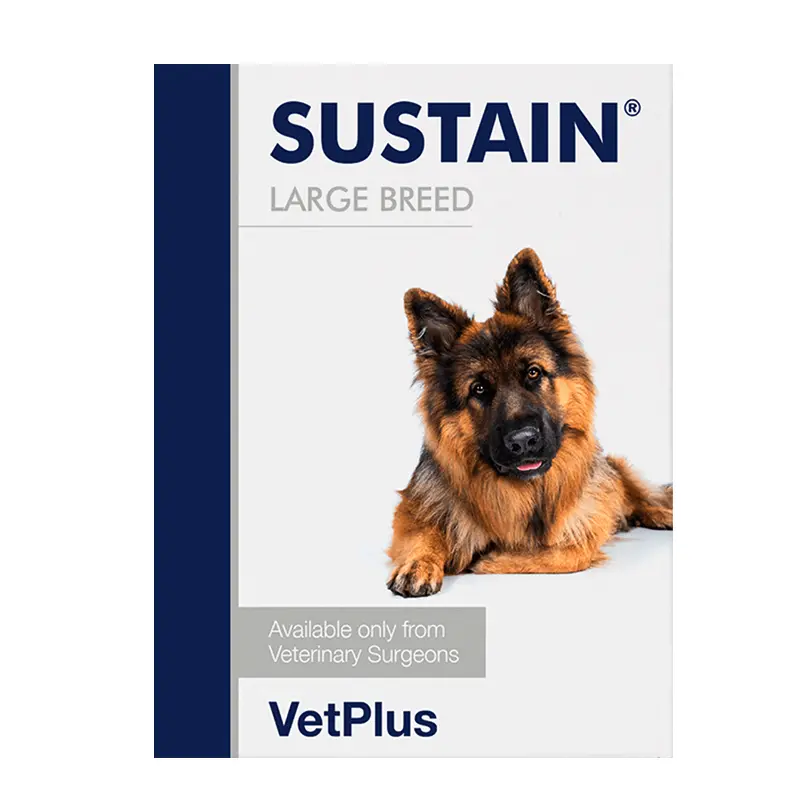 Sustain Razas Grandes 30 Sobres | Probiótico Dual para Perros | Vet-plus