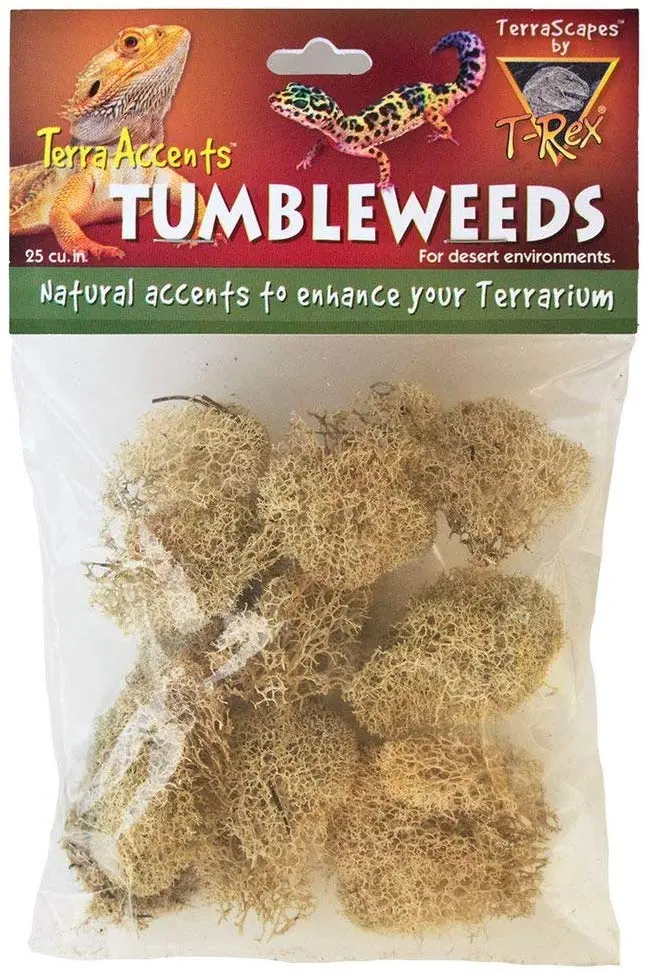 T-Rex Terra Acentos tumbleweeds, Estándar