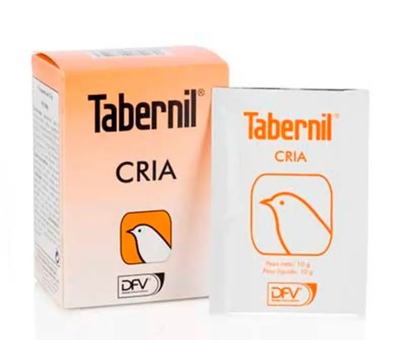 Tabernil Cría