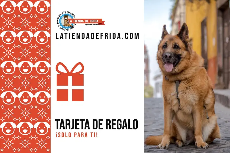 Tarjeta de Regalo de La Tienda de Frida & Chelsee