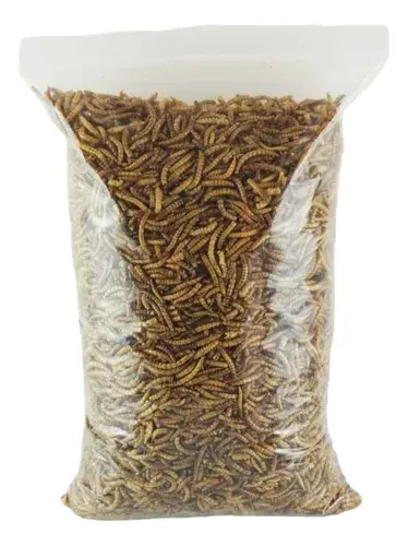 Tenebrios Deshidratados 1Kg