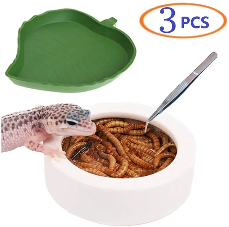 Tfwadmx - Cuenco para agua de reptil, plato de cerámica con pinzas para gecko y tortuga de lagarto, camaleón de dragón, leopardo, serpiente de maíz Gecko