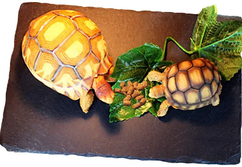 Tfwadmx Reptile Basking Rock Platform, Tortoise Feeding Plate Bowl, Reptile Food Dish Grinding Nail Landscape Habitat Decor for Lizard Bearded Dragon Turtle Crested Gecko Snake