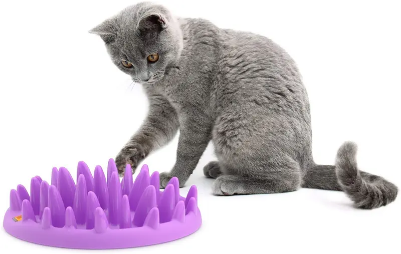The Company of Animals Catch Interactive Feeder