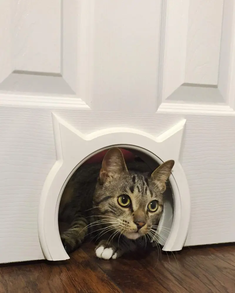The Kitty Pass, Puerta de interiores para gato oculta caja de arena, puerta para gatos de hasta 21 libras