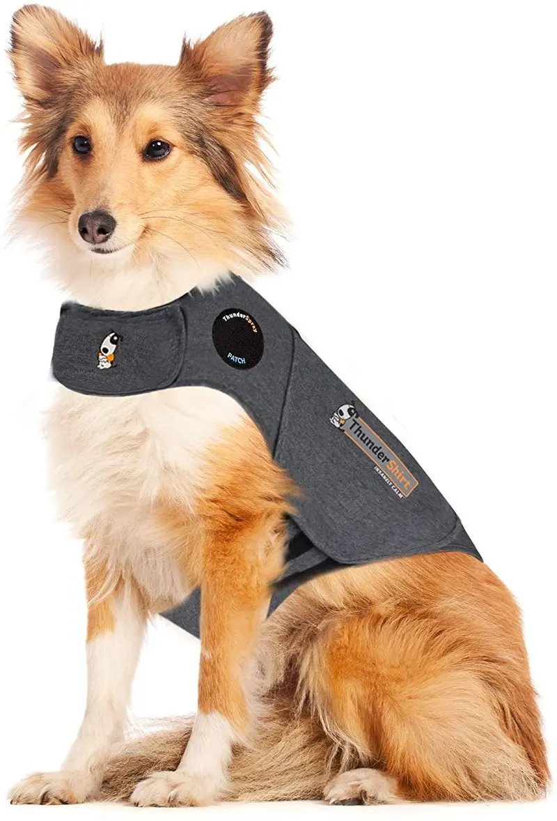 Thunder Anxiety Dog Jacket Over Excitement Shirt (L(41-64lbs))