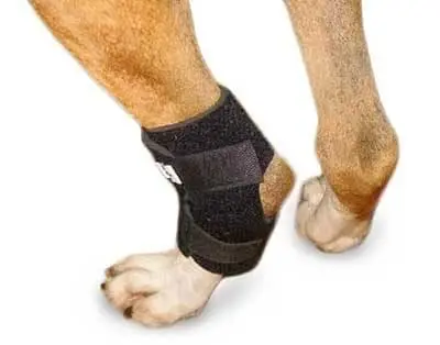 Tobillera Para Perro (Pata Trasera) Walkin' Hock Wrap de Walkin' Pets