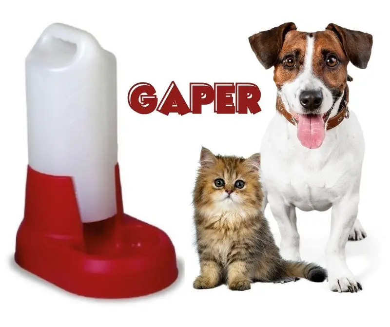 Tolva Bebedero para Perros y Gatos Gaper de Gaun