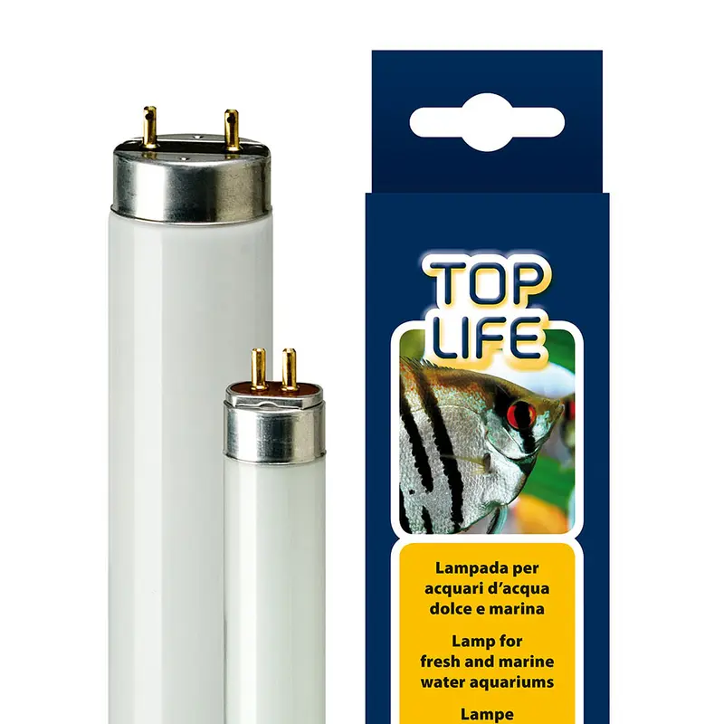 TOPLIFE