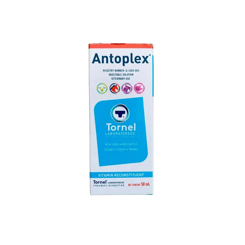 Tornel Antoplex Iny 50 Ml