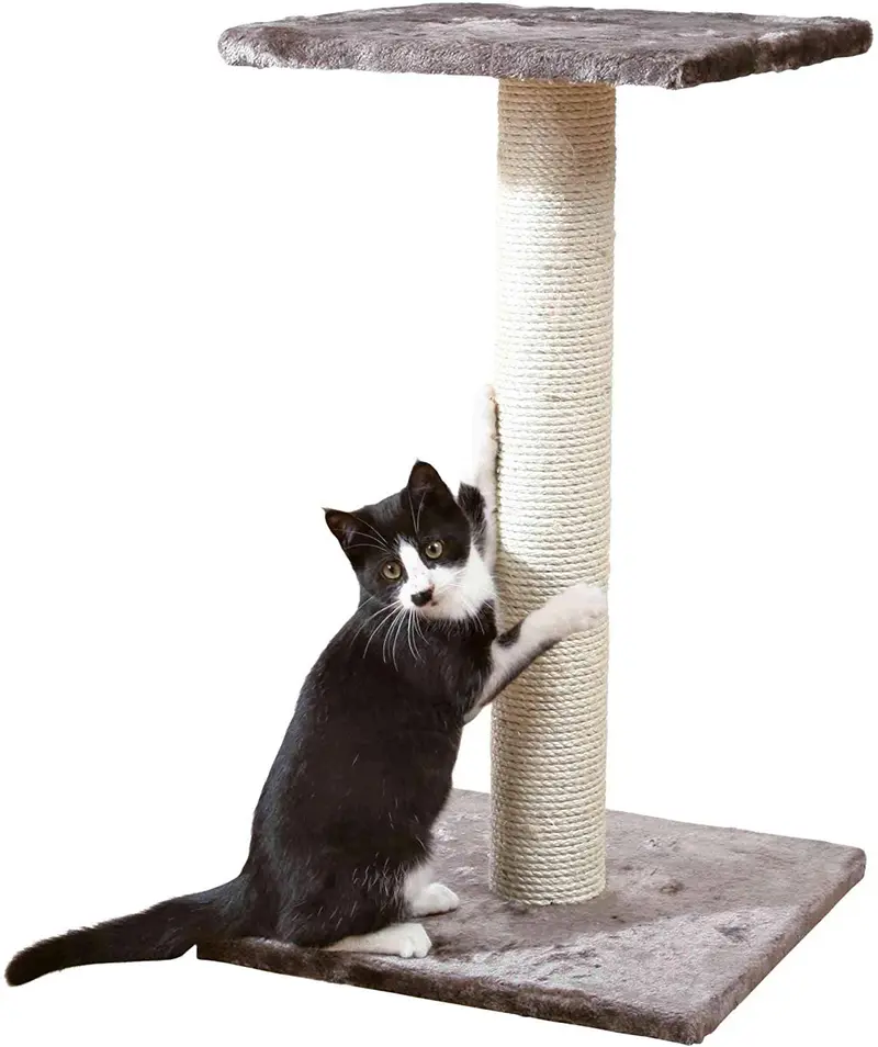 Trixie Pet Espejo Scratching Post