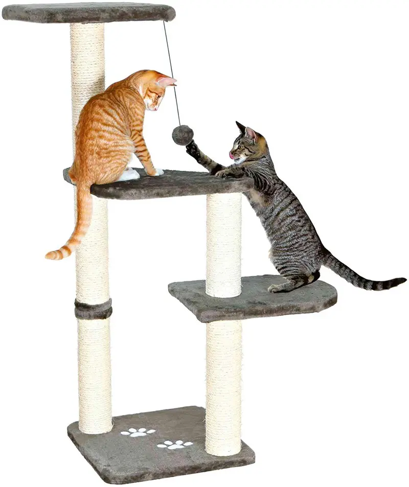 Trixie Pet Products, Gris