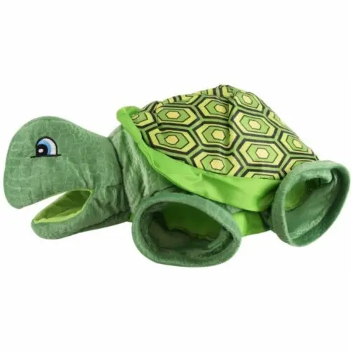Turtle Tunnel