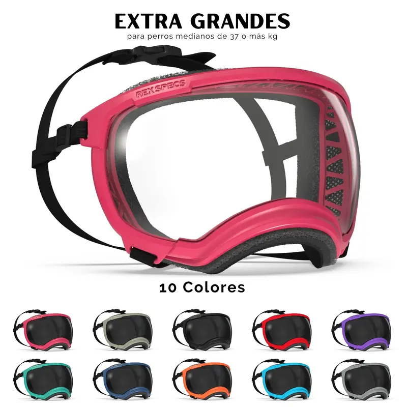 V2 Goggles Rex Specs - Lentes Para Perros Extra Grandes de 37 kg o más