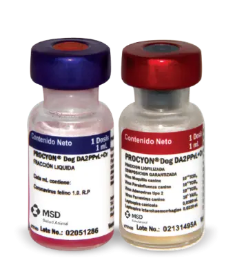 Vacuna Procyon DA2PPvL x 1 Dosis para Perros Contra 5 Enfermedades
