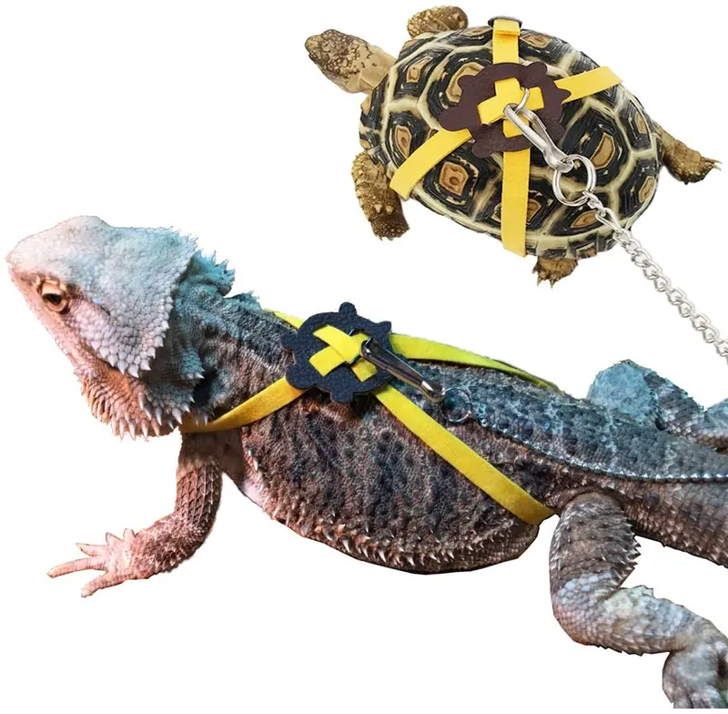 Vehomy - Correa para tortuga, diseño de lagarto