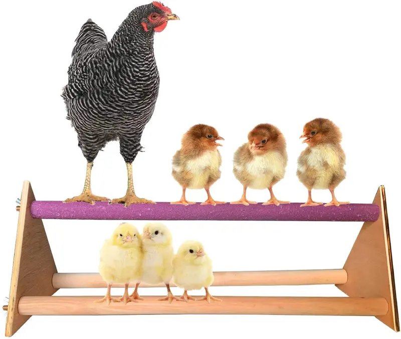 Vehomy - Soporte de madera de pollo para gallinas, hecho a mano, para pájaros grandes, loros, gallinas, guacamayos