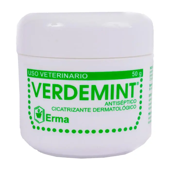 Verdemint Tarro x 50 Gr