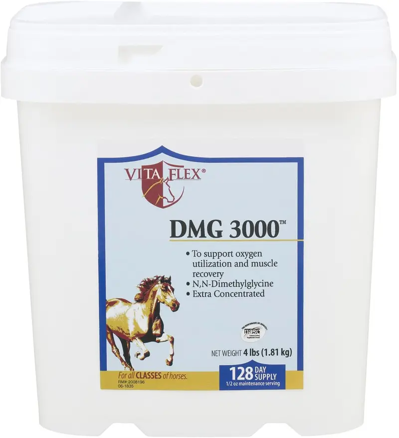 Vita Flex DMG 3000 concentrado, suministro de 128 días, 4 libras