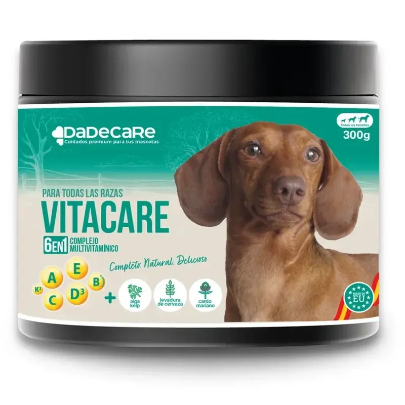 Vitacare 300g Multivitamínico 6en1