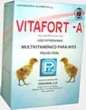 Vitafort - A Exhibidor con 100 sobres de 10 g