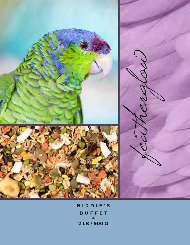 Volkman Birdie's Buffet de 15 minutos en remojo y servir.