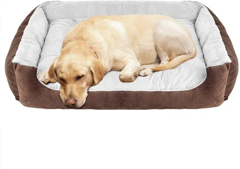 WILLNORN Cama para perros grandes con funda extraíble alfombrilla resistente al agua parte inferior y sofá cama lavable